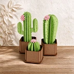 CUPUZ 3D Paper Puzzle Cactus – DIY Plant Model, Creative Craft & Unique Gift